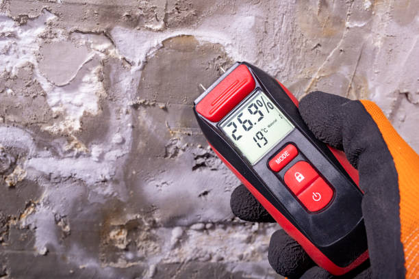 Best Office Mold Removal Services  in Gonzales, LA