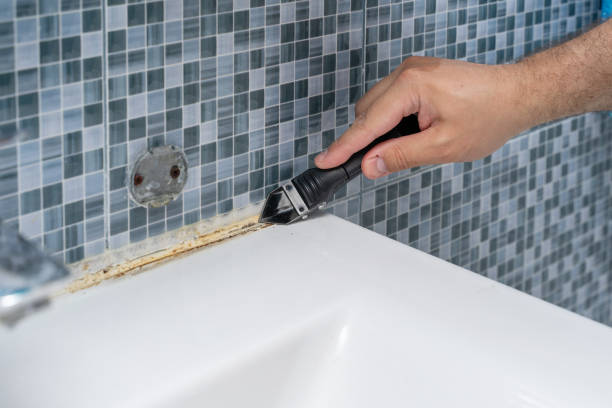 Best Residential Mold Removal  in Gonzales, LA
