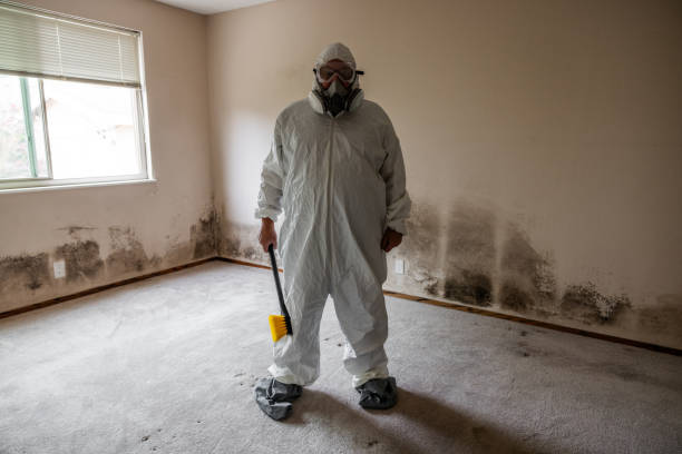 Trusted Gonzales, LA Mold Removal Experts
